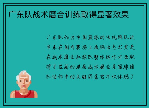 广东队战术磨合训练取得显著效果