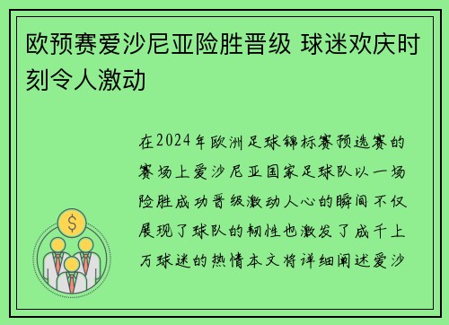 欧预赛爱沙尼亚险胜晋级 球迷欢庆时刻令人激动
