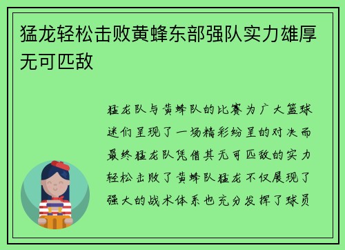 猛龙轻松击败黄蜂东部强队实力雄厚无可匹敌