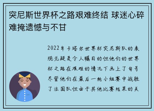 突尼斯世界杯之路艰难终结 球迷心碎难掩遗憾与不甘